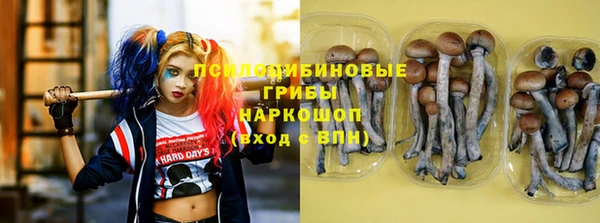 jwh Арсеньев